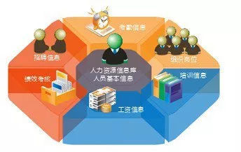 人力資源信息化 推動企業(yè)管理變革的新動力